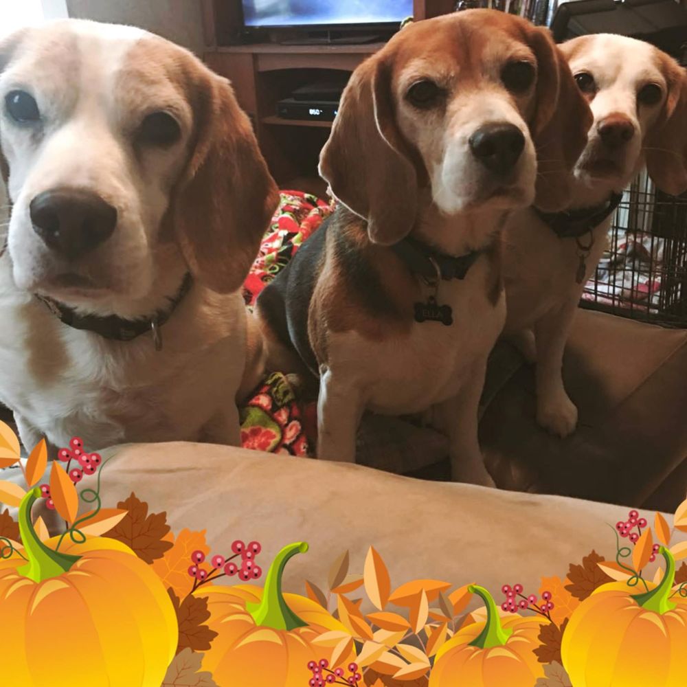 Meet your Posher, Julie